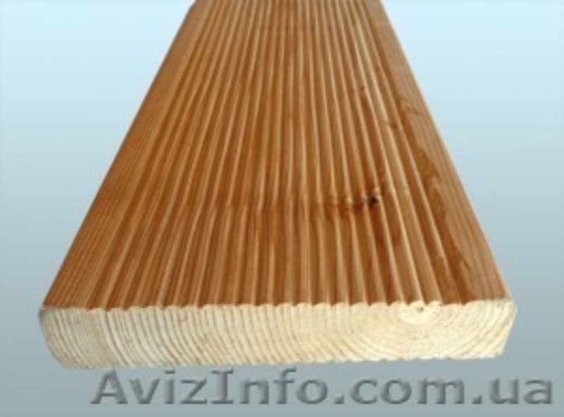 Лиственница сибирская Чернигов Украина - <ro>Изображение</ro><ru>Изображение</ru> #3, <ru>Объявление</ru> #153170