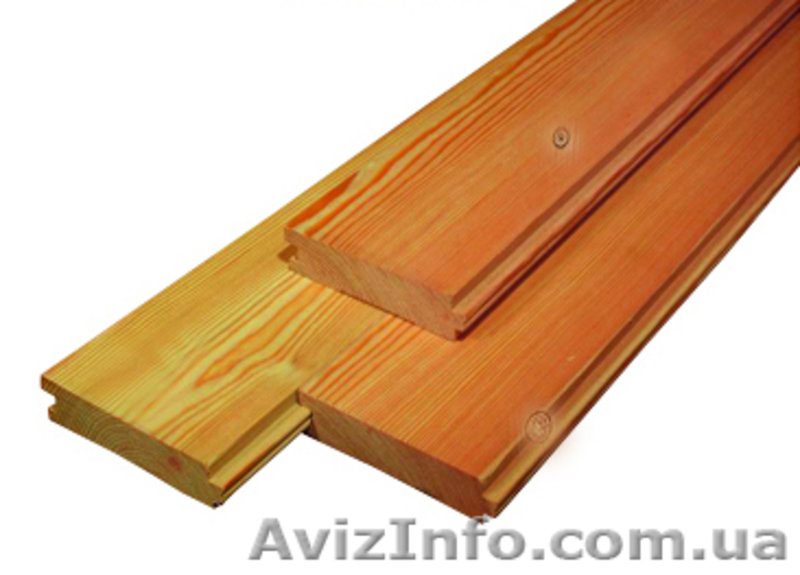 Лиственница сибирская Чернигов Украина - <ro>Изображение</ro><ru>Изображение</ru> #2, <ru>Объявление</ru> #153170