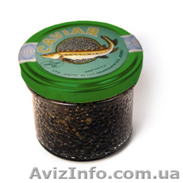 Икра черная осетровая веслоноса - <ro>Изображение</ro><ru>Изображение</ru> #4, <ru>Объявление</ru> #741035