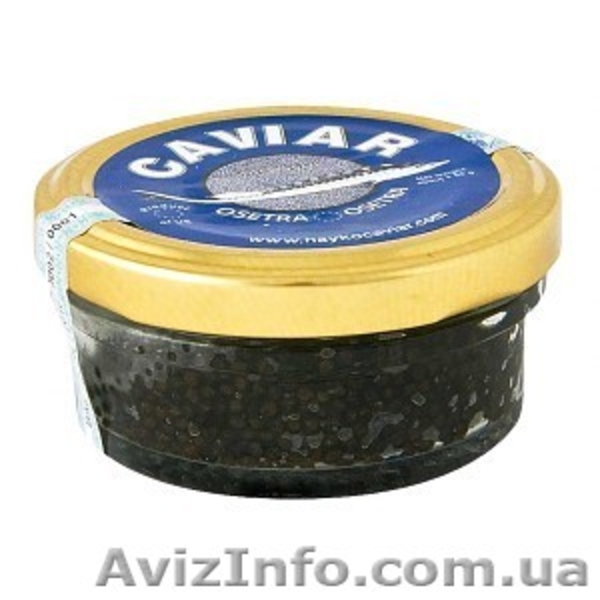 Икра черная осетровая веслоноса - <ro>Изображение</ro><ru>Изображение</ru> #1, <ru>Объявление</ru> #741035