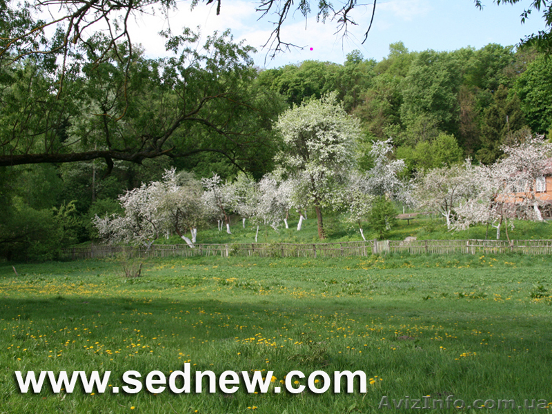 Мини-отель в Седневе на берегу реки Снов - <ro>Изображение</ro><ru>Изображение</ru> #6, <ru>Объявление</ru> #751902