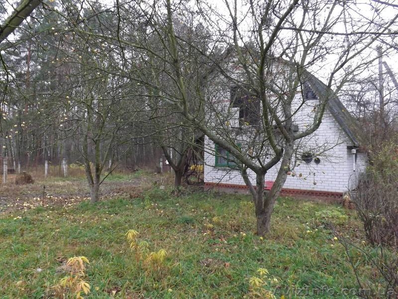 Дача на опушке леса в городской черте - <ro>Изображение</ro><ru>Изображение</ru> #1, <ru>Объявление</ru> #794896