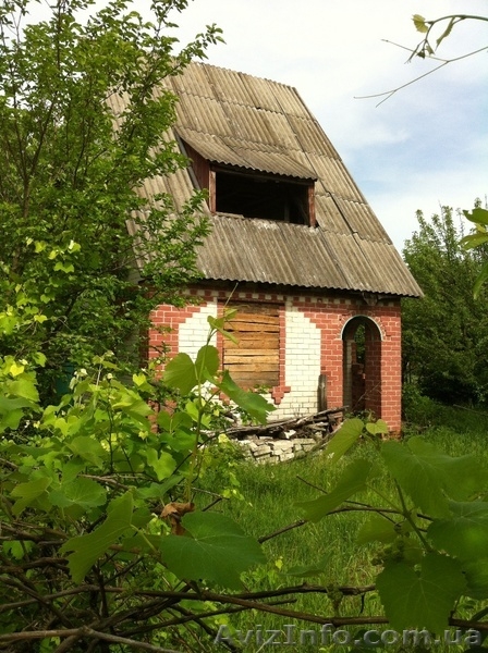 Продам дачу Чернигов! Березанка - <ro>Изображение</ro><ru>Изображение</ru> #1, <ru>Объявление</ru> #903094