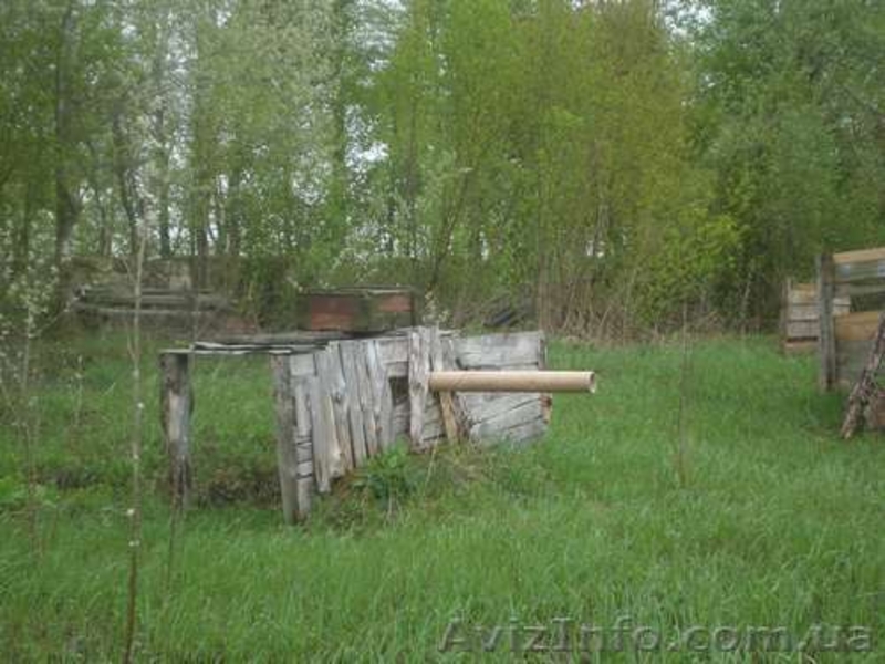 пейнтбольный клуб  Буда - <ro>Изображение</ro><ru>Изображение</ru> #6, <ru>Объявление</ru> #847897