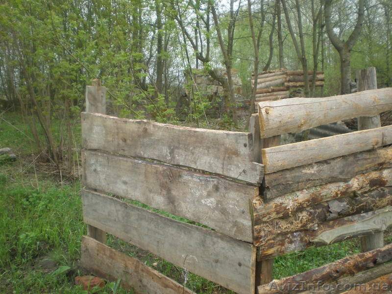 пейнтбольный клуб  Буда - <ro>Изображение</ro><ru>Изображение</ru> #8, <ru>Объявление</ru> #847897