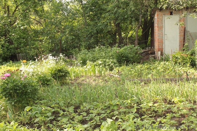 Дача на Подусовке. Дом двух этажный.  - <ro>Изображение</ro><ru>Изображение</ru> #7, <ru>Объявление</ru> #912370