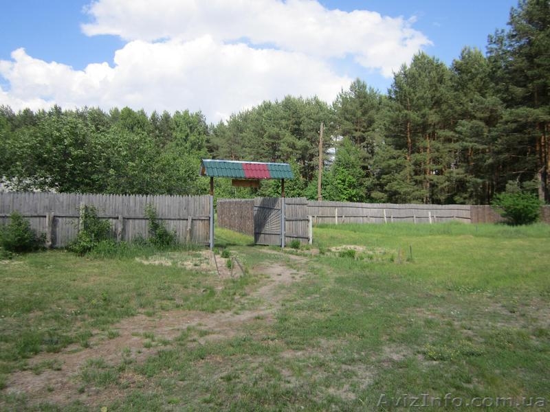 Отдых в деревне у реки с банькой - <ro>Изображение</ro><ru>Изображение</ru> #8, <ru>Объявление</ru> #929696