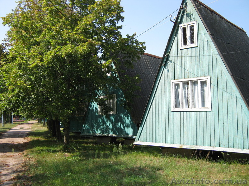 база отдыха на берегу Десны - <ro>Изображение</ro><ru>Изображение</ru> #1, <ru>Объявление</ru> #950857