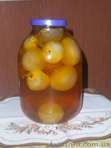 Настойка гриба весёлки (3-х литровая банка) - <ro>Изображение</ro><ru>Изображение</ru> #3, <ru>Объявление</ru> #524449