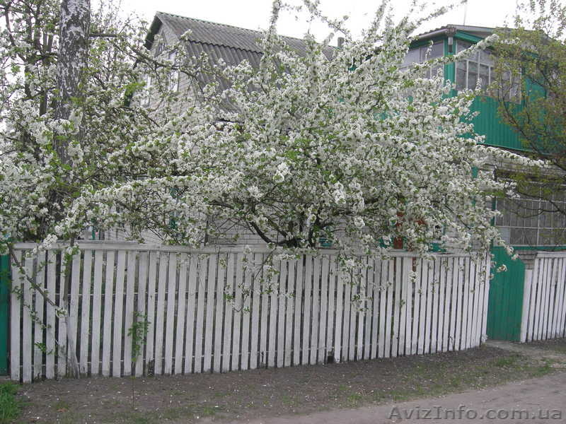 Продам хороший дом - <ro>Изображение</ro><ru>Изображение</ru> #1, <ru>Объявление</ru> #992535