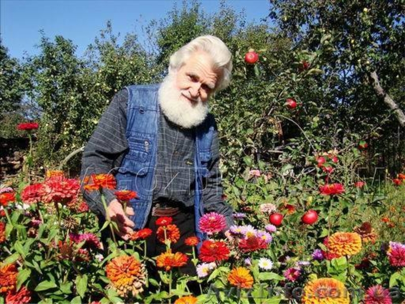 Иван чай ферментированный Экстра, крепкий (КОПОРСКИЙ ЧАЙ, РУССКИЙ ЧАЙ) - <ro>Изображение</ro><ru>Изображение</ru> #4, <ru>Объявление</ru> #110999