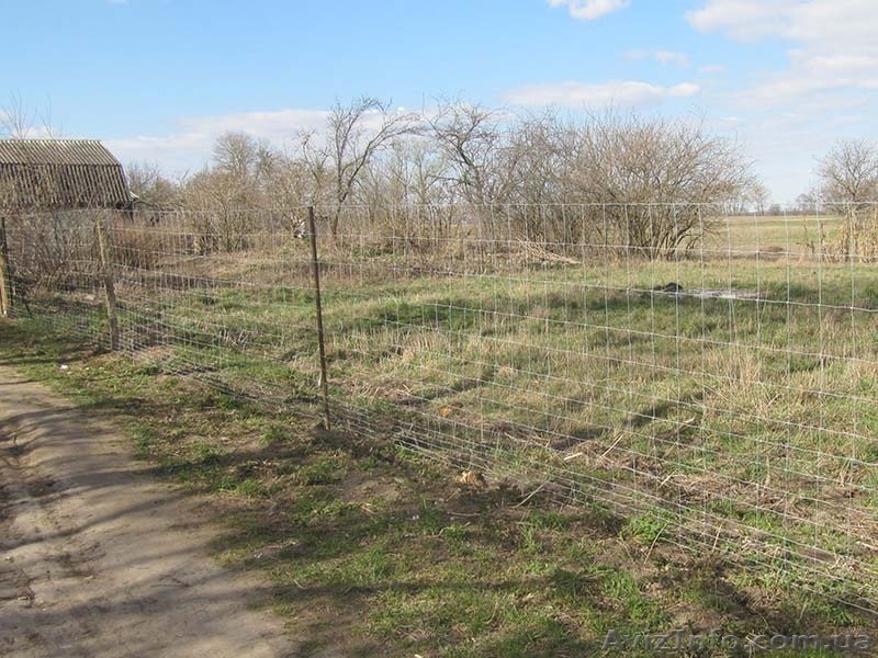 Заборы в Чернигове - <ro>Изображение</ro><ru>Изображение</ru> #10, <ru>Объявление</ru> #1167895