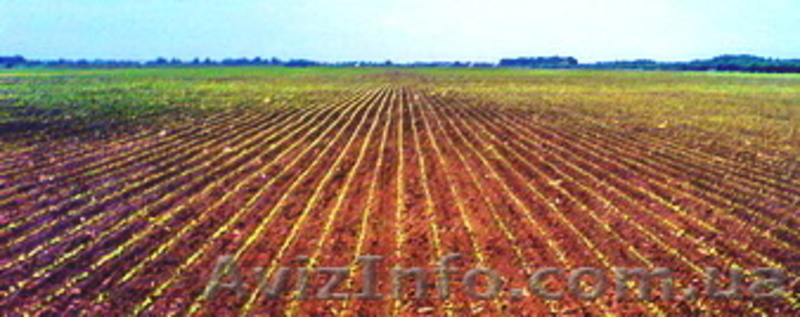 Система параллельного вождения, агро навигатор - <ro>Изображение</ro><ru>Изображение</ru> #3, <ru>Объявление</ru> #1235575