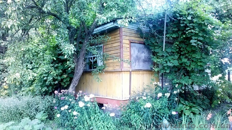 Продаётся дача  - <ro>Изображение</ro><ru>Изображение</ru> #4, <ru>Объявление</ru> #1238051