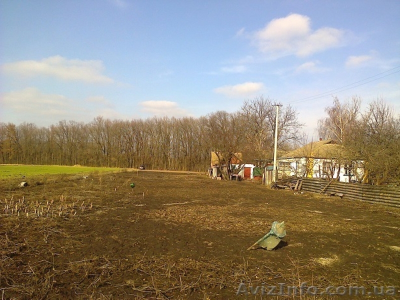 Продам будинок в хорошому стані в Талалаївському районі с. Основа - <ro>Изображение</ro><ru>Изображение</ru> #7, <ru>Объявление</ru> #1442614