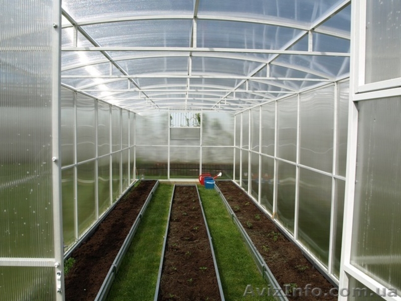 Теплицы из поликарбоната или плёнки - <ro>Изображение</ro><ru>Изображение</ru> #3, <ru>Объявление</ru> #1466474
