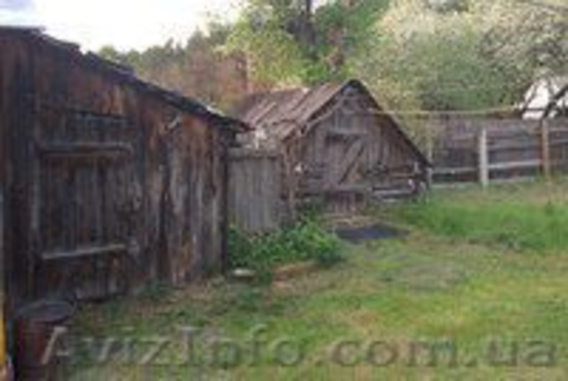 Продаю дом, Черниговская область, Репкинский район, с. Скиток, д.32  - <ro>Изображение</ro><ru>Изображение</ru> #4, <ru>Объявление</ru> #1525454