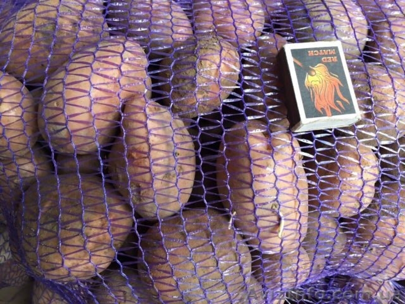 Продаем посадочную картошку разных сортов ОПТОМ - <ro>Изображение</ro><ru>Изображение</ru> #3, <ru>Объявление</ru> #1540850