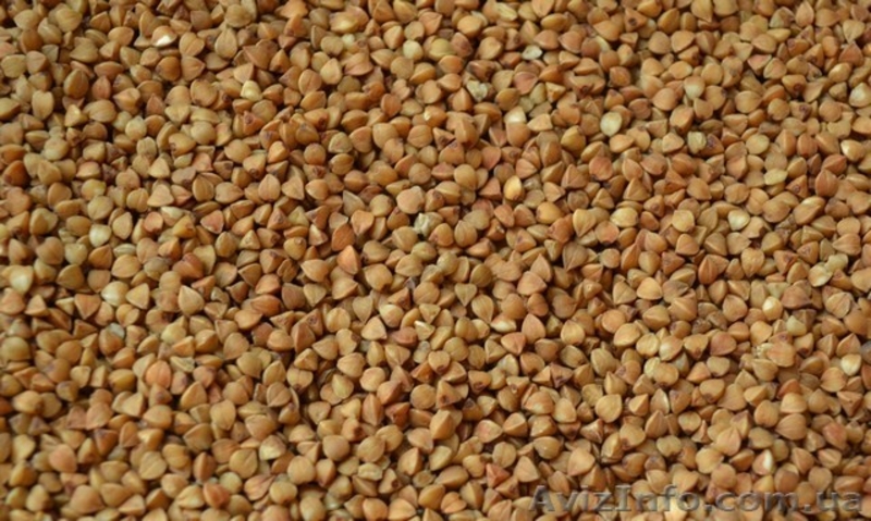 ООО"Мироновские-семена" реализуем посевной материал яровых с/х культур - <ro>Изображение</ro><ru>Изображение</ru> #1, <ru>Объявление</ru> #1554778