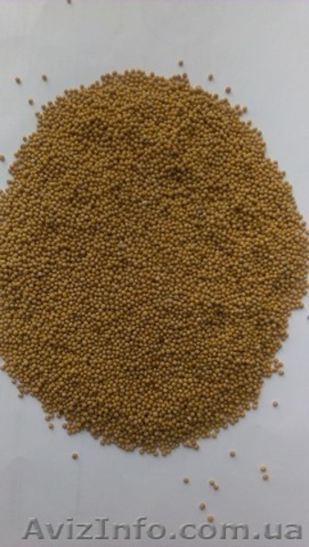 ООО"Мироновские-семена" реализуем посевной материал яровых с/х культур - <ro>Изображение</ro><ru>Изображение</ru> #6, <ru>Объявление</ru> #1554778