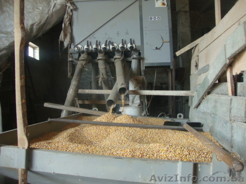 Оборудование для производства различных круп - <ro>Изображение</ro><ru>Изображение</ru> #8, <ru>Объявление</ru> #1606634