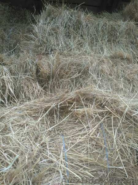 Продам сено и солому - <ro>Изображение</ro><ru>Изображение</ru> #2, <ru>Объявление</ru> #1626655