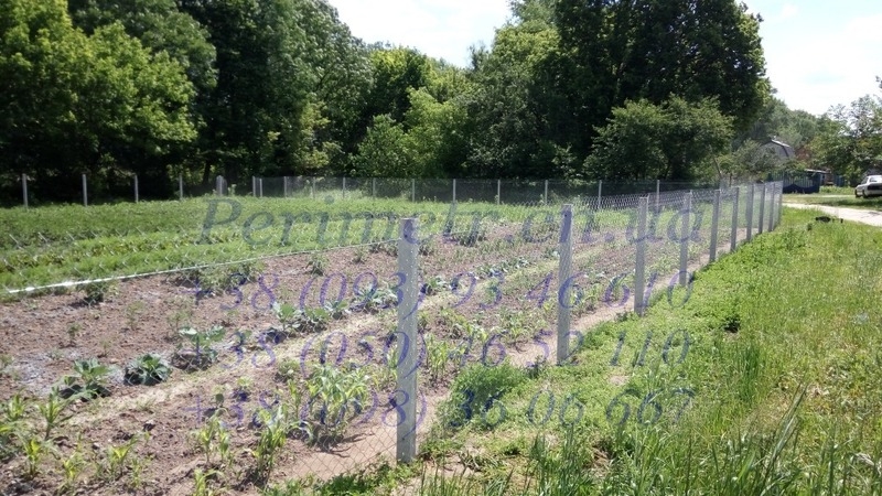 Сітка рабиця - <ro>Изображение</ro><ru>Изображение</ru> #4, <ru>Объявление</ru> #1673393