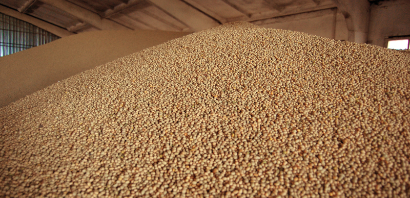 Агропродукция - <ro>Изображение</ro><ru>Изображение</ru> #3, <ru>Объявление</ru> #1677786