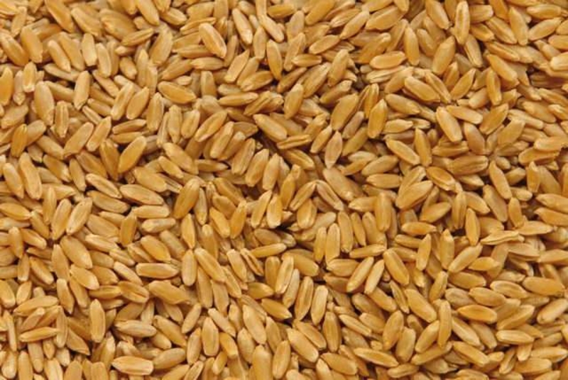 Агропродукция - <ro>Изображение</ro><ru>Изображение</ru> #2, <ru>Объявление</ru> #1677786