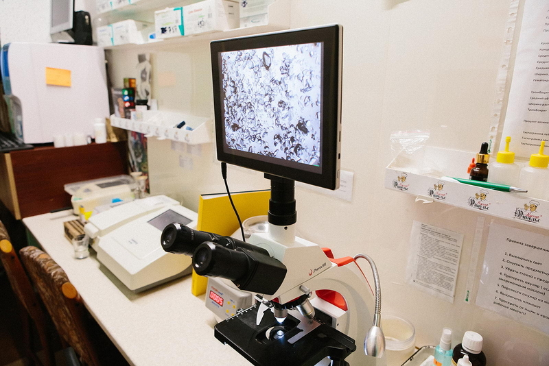 Ветеринарная клиника Айболит - <ro>Изображение</ro><ru>Изображение</ru> #3, <ru>Объявление</ru> #1690093