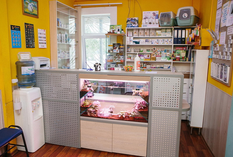 Ветеринарная клиника Айболит - <ro>Изображение</ro><ru>Изображение</ru> #2, <ru>Объявление</ru> #1690093