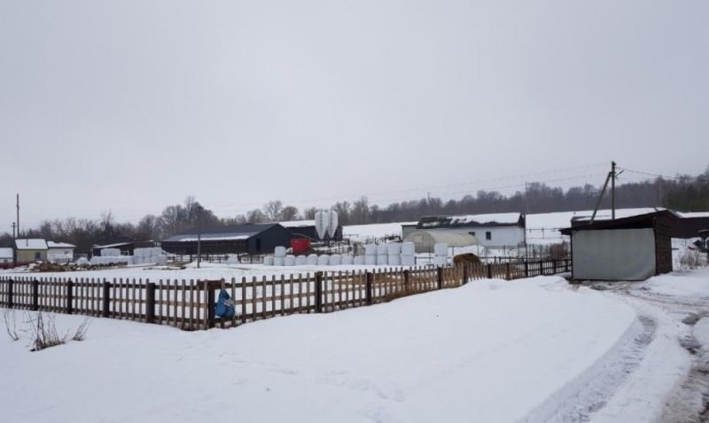 Продам ферму 25 га з будинком та ангарами в Новгород-Сіверському - <ro>Изображение</ro><ru>Изображение</ru> #7, <ru>Объявление</ru> #1718741