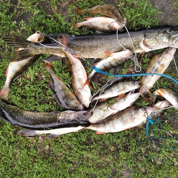 Мини-база У Анютки Отдых, рыбалка, грибочки, ягоды - <ro>Изображение</ro><ru>Изображение</ru> #4, <ru>Объявление</ru> #1720451