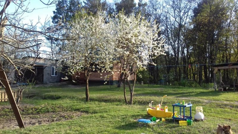 Мини-база У Анютки Отдых, рыбалка, грибочки, ягоды - <ro>Изображение</ro><ru>Изображение</ru> #7, <ru>Объявление</ru> #1720451