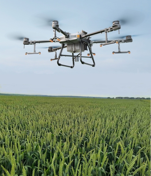 Десикація соняшника. Літак-Бекас, Агродрон, Дельтоплан - <ro>Изображение</ro><ru>Изображение</ru> #2, <ru>Объявление</ru> #1689767